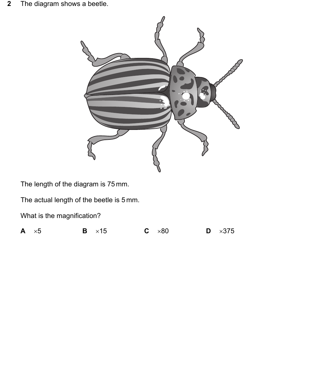 IGCSE 0654 Oct/Nov 2023 Paper 12 Question 2 — Magnification & size of specimens