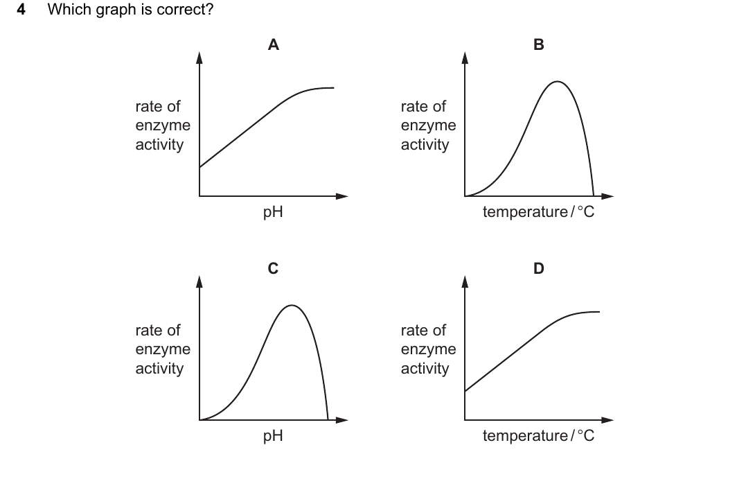 IGCSE 0654 Oct/Nov 2023 Paper 13 Question 4 — Effect of temperature & pH