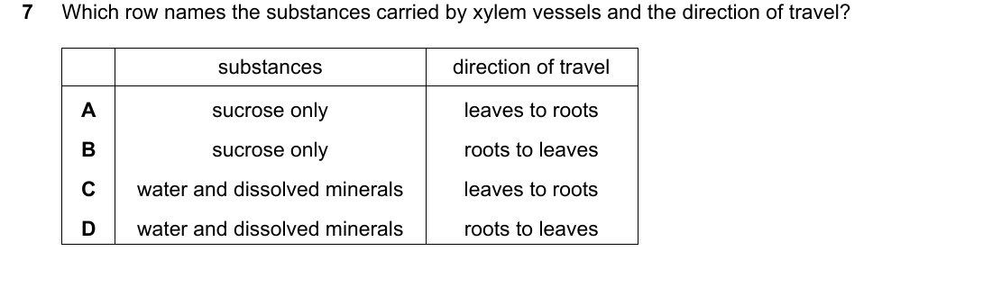 IGCSE 0654 Oct/Nov 2023 Paper 13 Question 7 — Xylem & phloem