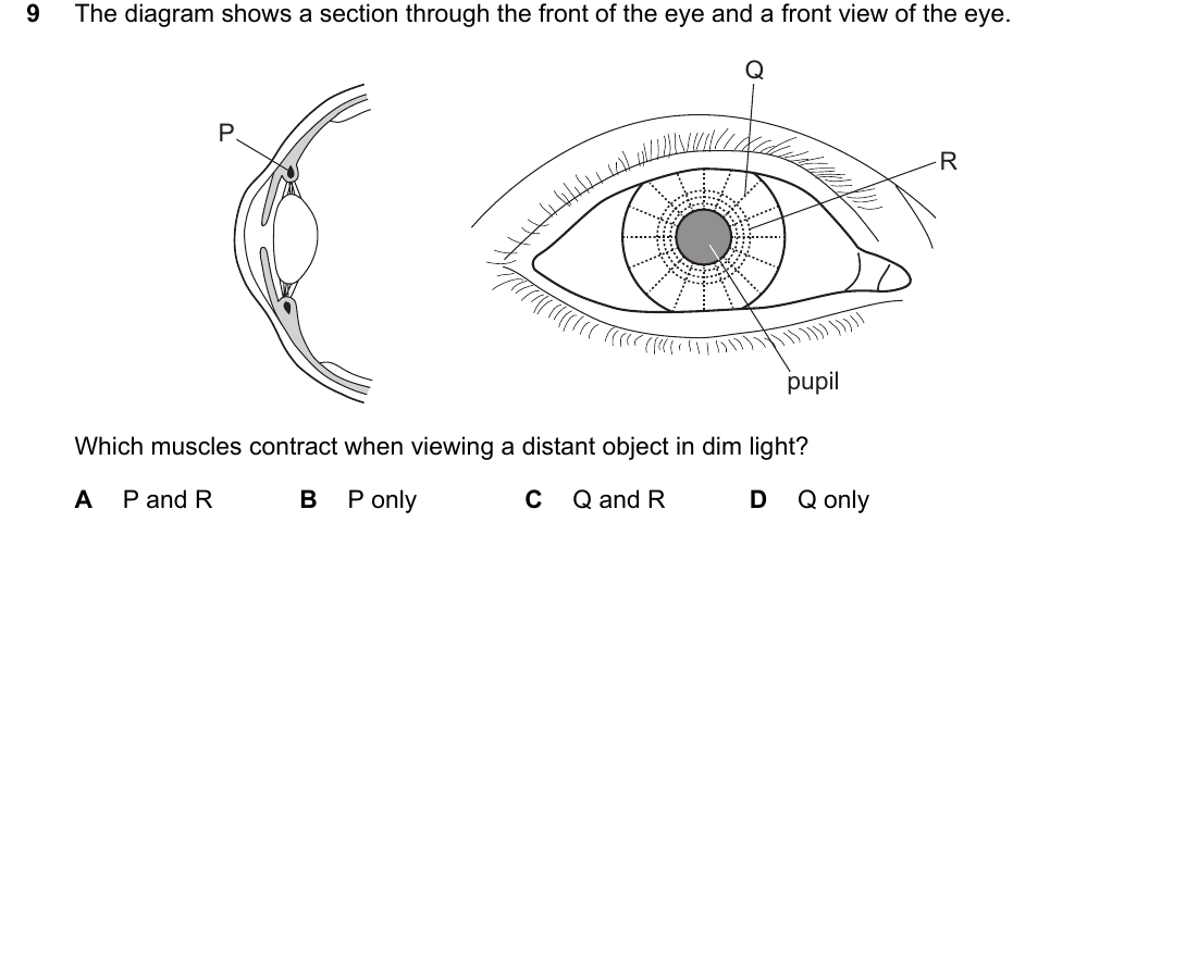 IGCSE 0654 Oct/Nov 2023 Paper 22 Question 9 — The eye