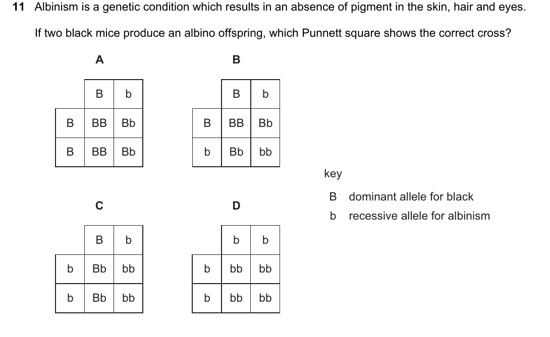 IGCSE 0654 Oct/Nov 2024 Paper 11 Question 11 — Monohybrid inheritance