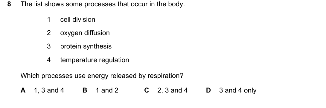 IGCSE 0654 Oct/Nov 2024 Paper 11 Question 8 — Mitosis & meiosis