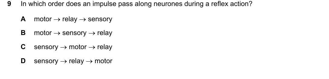IGCSE 0654 Oct/Nov 2024 Paper 11 Question 9 — Nervous system & reflex arc