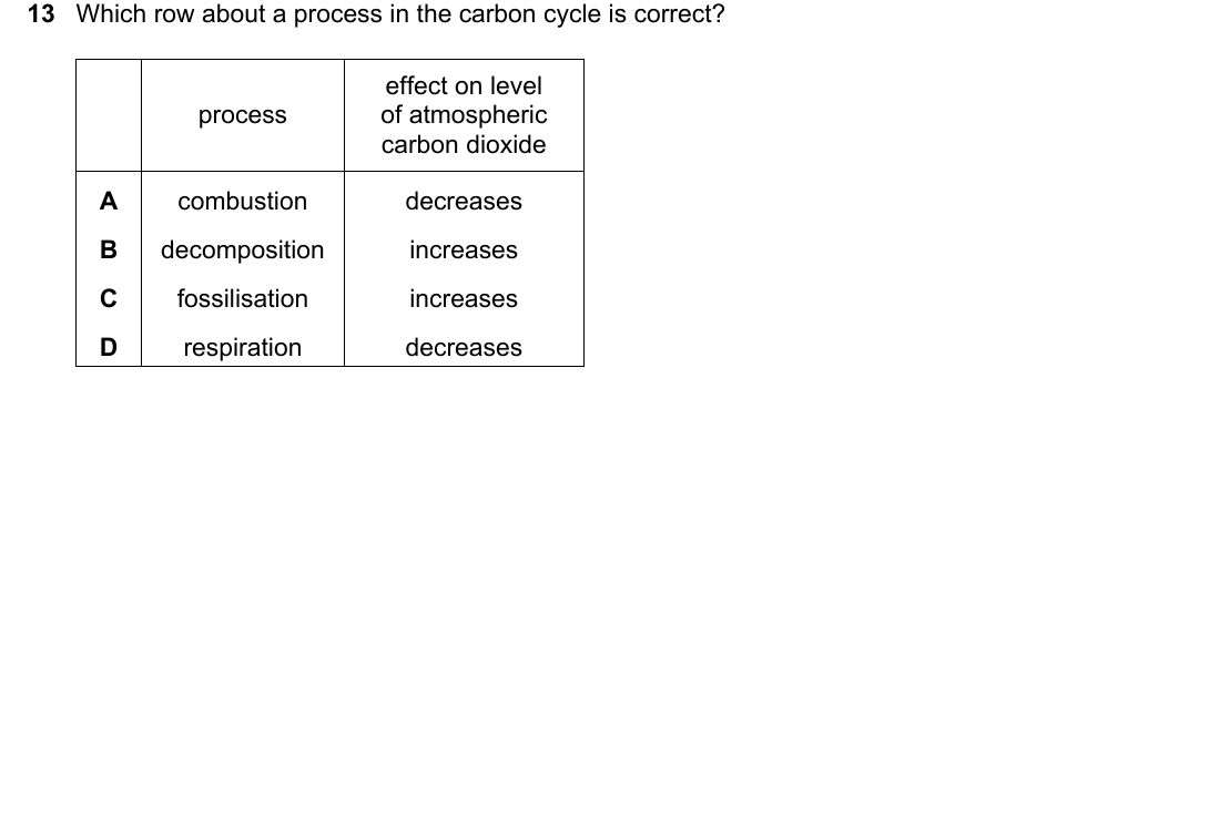 IGCSE 0654 Oct/Nov 2024 Paper 12 Question 13 — Carbon cycle