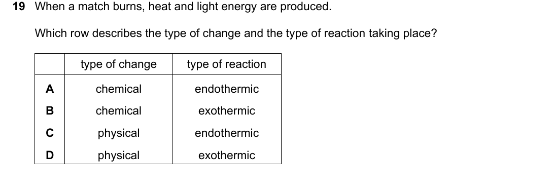 IGCSE 0654 Oct/Nov 2024 Paper 21 Question 19 — Exothermic & endothermic reactions