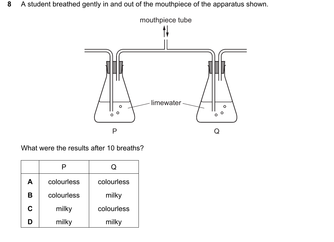 IGCSE 0654 Oct/Nov 2024 Paper 21 Question 8 — Tests for ions & gases
