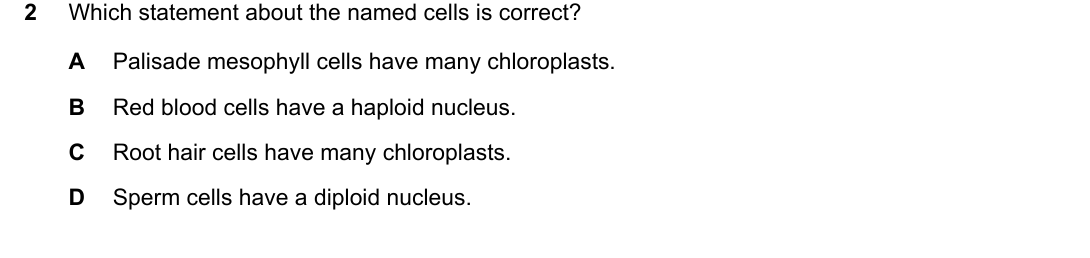 IGCSE 0654 Oct/Nov 2024 Paper 22 Question 2 — Animal & plant cell structure
