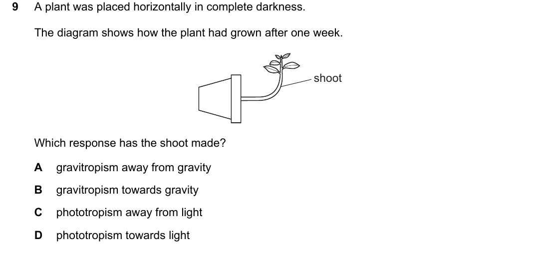 IGCSE 0654 Oct/Nov 2024 Paper 22 Question 9 — Plant tropisms