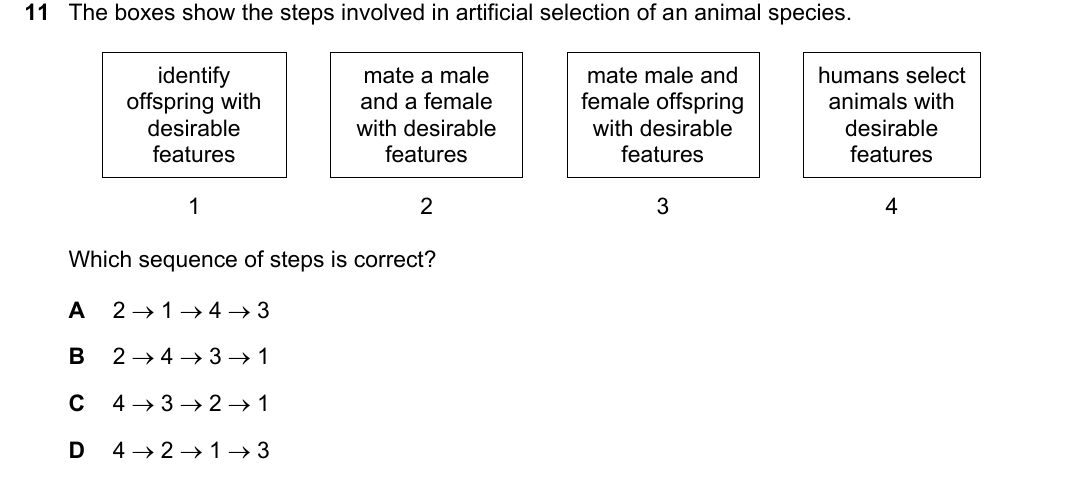IGCSE 0654 Oct/Nov 2024 Paper 23 Question 11 — Selective breeding