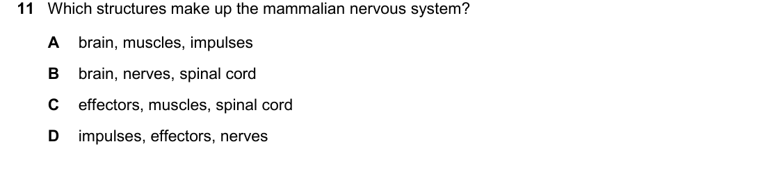 IGCSE 0654 Oct/Nov 2025 Paper 11 Question 11 — Nervous system & reflex arc