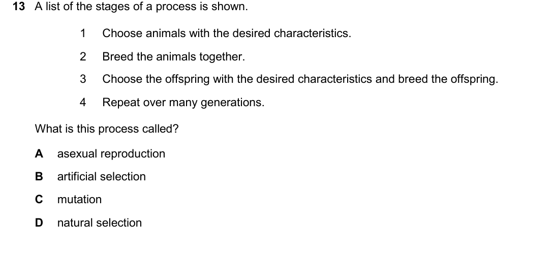 IGCSE 0654 Oct/Nov 2025 Paper 11 Question 13 — Asexual & sexual reproduction