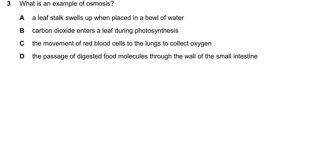 IGCSE 0654 Oct/Nov 2025 Paper 11 Question 3 — Digestive system & digestion