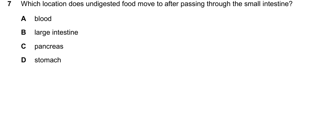 IGCSE 0654 Oct/Nov 2025 Paper 11 Question 7 — Digestive system & digestion