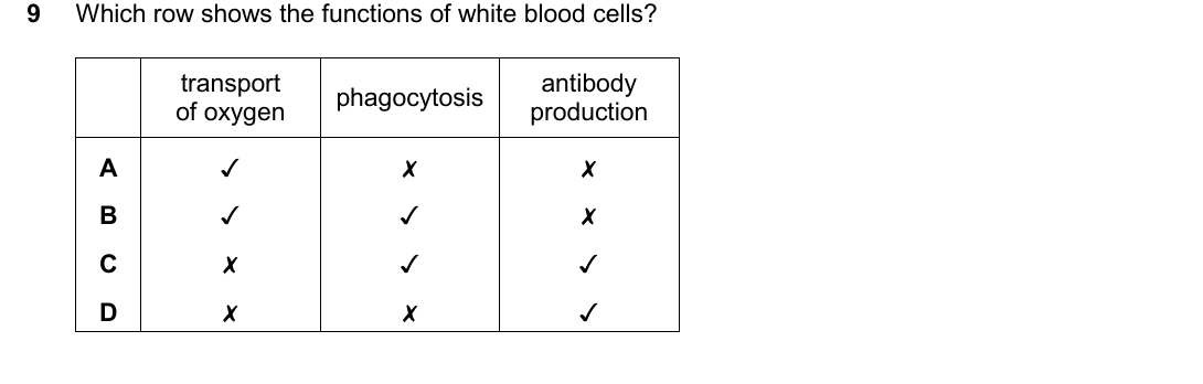 IGCSE 0654 Oct/Nov 2025 Paper 11 Question 9 — Blood