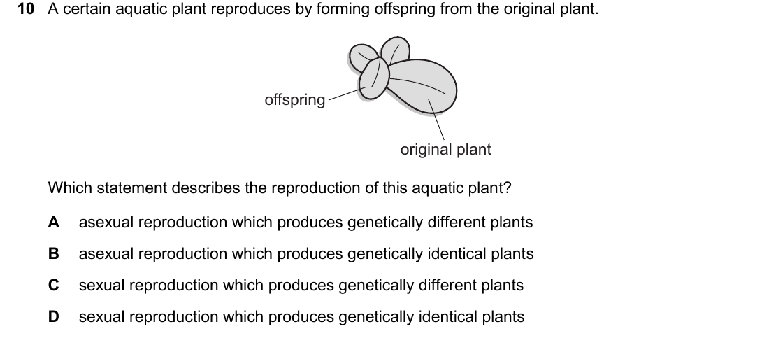 IGCSE 0654 Oct/Nov 2025 Paper 12 Question 10 — Asexual & sexual reproduction