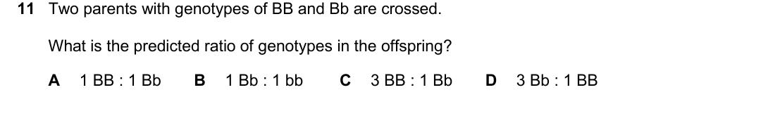 IGCSE 0654 Oct/Nov 2025 Paper 12 Question 11 — Monohybrid inheritance