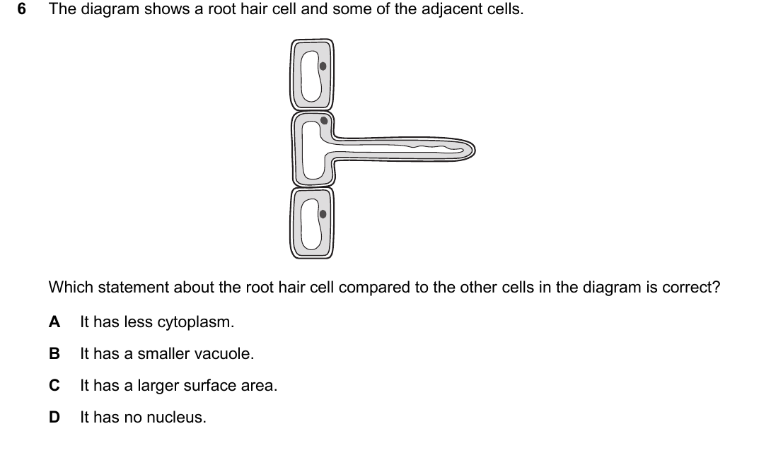IGCSE 0654 Oct/Nov 2025 Paper 12 Question 6 — Specialised cells, tissues & organs
