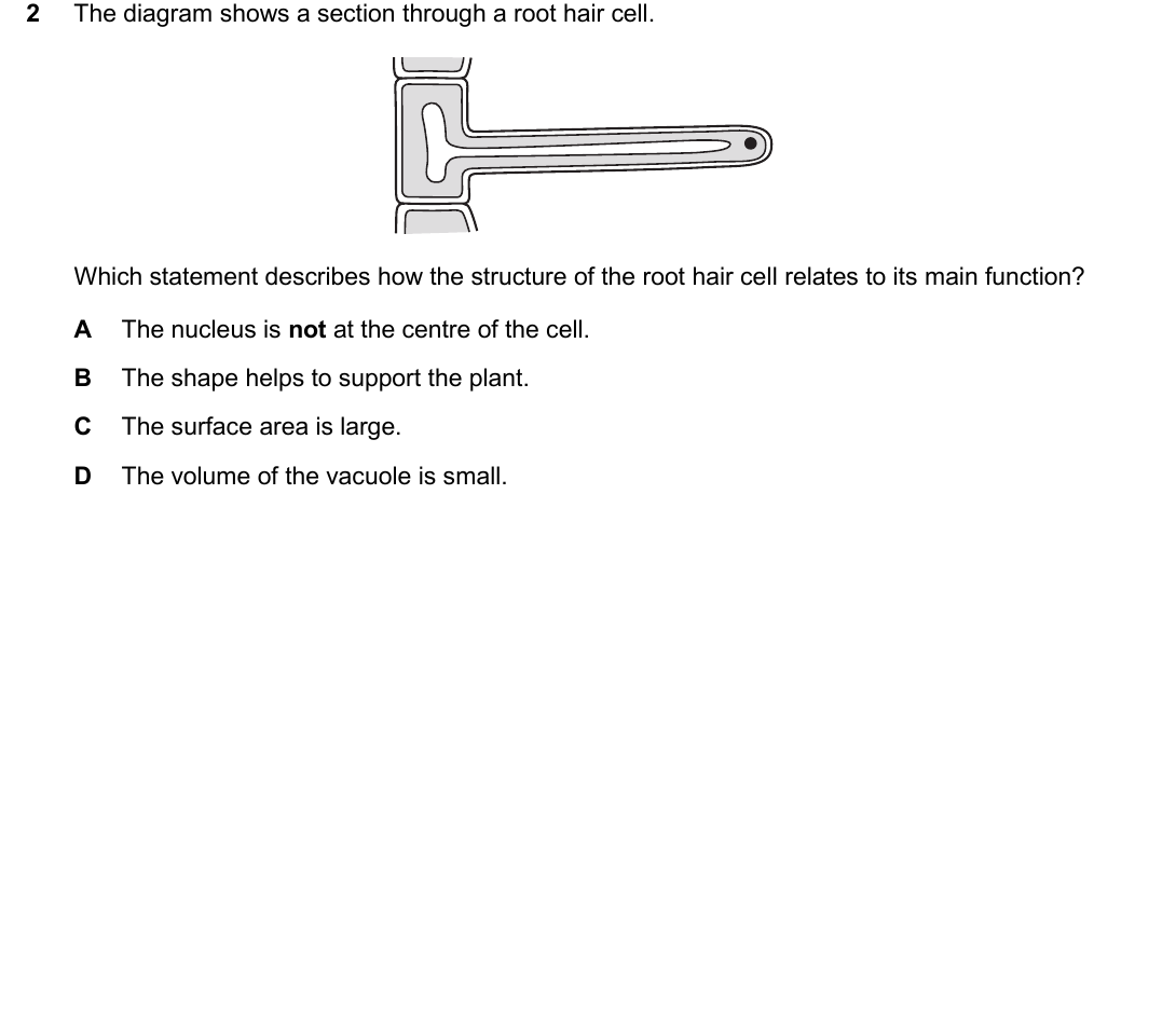 IGCSE 0654 Oct/Nov 2025 Paper 21 Question 2 — Specialised cells, tissues & organs