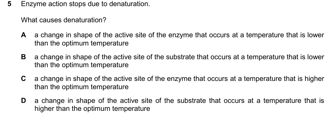 IGCSE 0654 Oct/Nov 2025 Paper 21 Question 5 — Enzyme action
