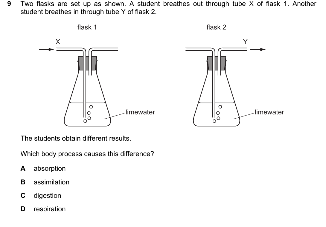 IGCSE 0654 Oct/Nov 2025 Paper 21 Question 9 — Digestive system & digestion
