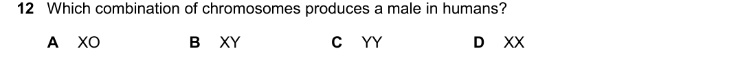 IGCSE 0654 Oct/Nov 2025 Paper 22 Question 12 — Chromosomes, genes & DNA