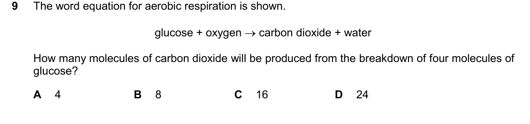 IGCSE 0654 Oct/Nov 2025 Paper 22 Question 9 — Photosynthesis