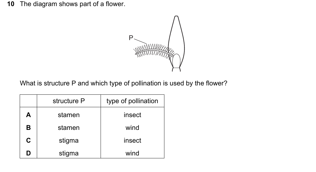 IGCSE 0654 Oct/Nov 2025 Paper 23 Question 10 — Reproduction in flowering plants