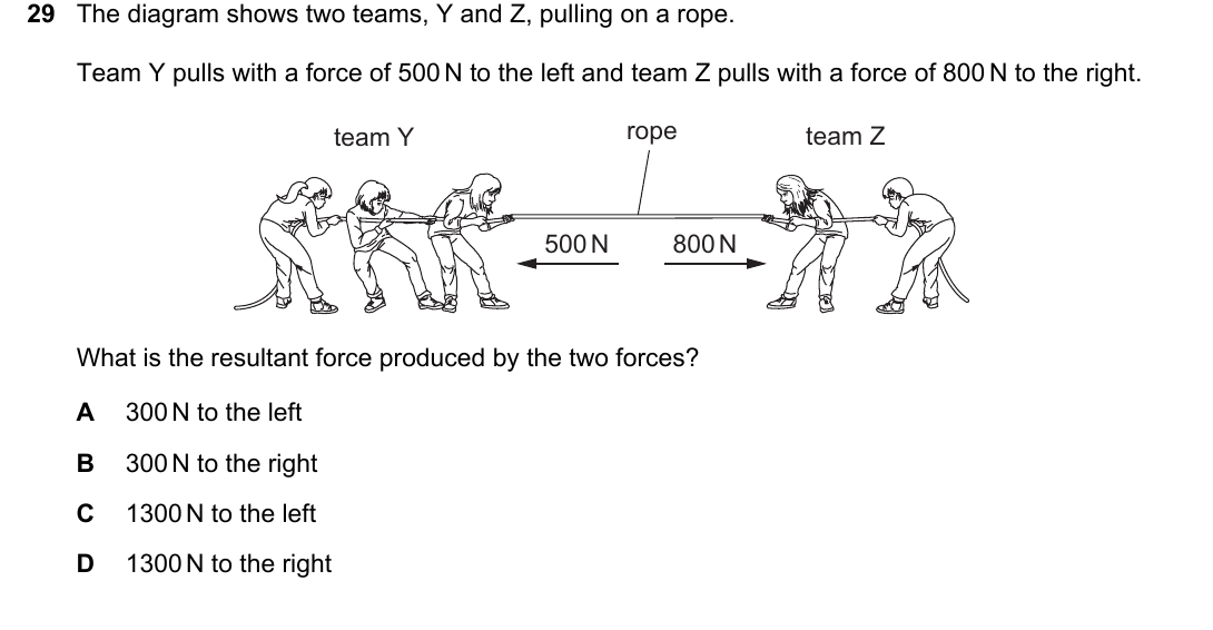 IGCSE 0654 Oct/Nov 2025 Paper 23 Question 29 — Resultant forces & Newton's laws
