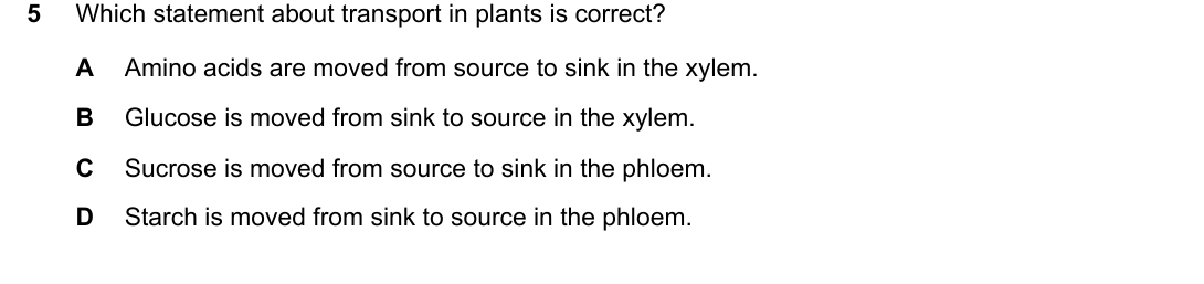 IGCSE 0654 Oct/Nov 2025 Paper 23 Question 5 — Xylem & phloem