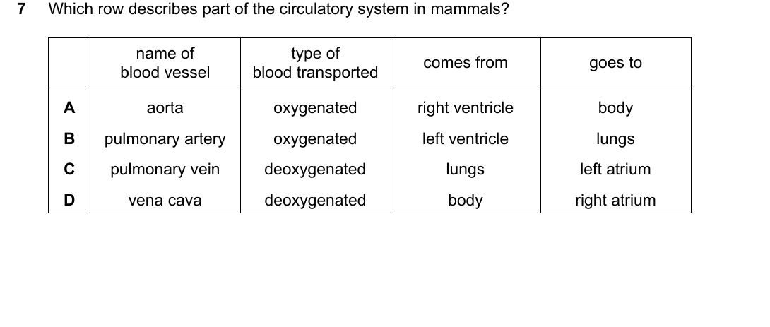 IGCSE 0654 Oct/Nov 2025 Paper 23 Question 7 — Heart & circulatory system