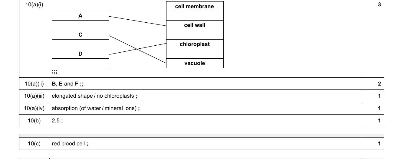 Mark scheme for IGCSE 0654 Mar 2022 Paper 32 Q10