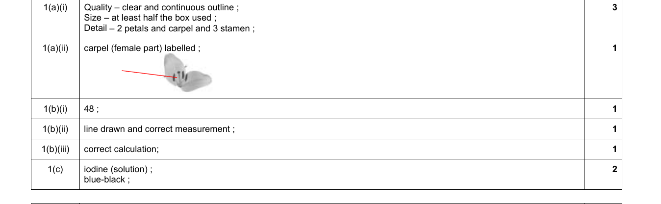 Mark scheme for IGCSE 0654 March 2022 Paper 62 Q1