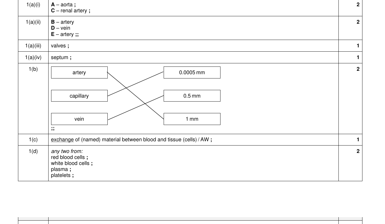 Mark scheme for IGCSE 0654 Mar 2023 Paper 32 Q1