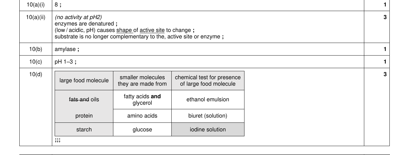 Mark scheme for IGCSE 0654 Mar 2023 Paper 42 Q10