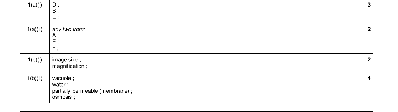 Mark scheme for IGCSE 0654 Mar 2024 Paper 32 Q1
