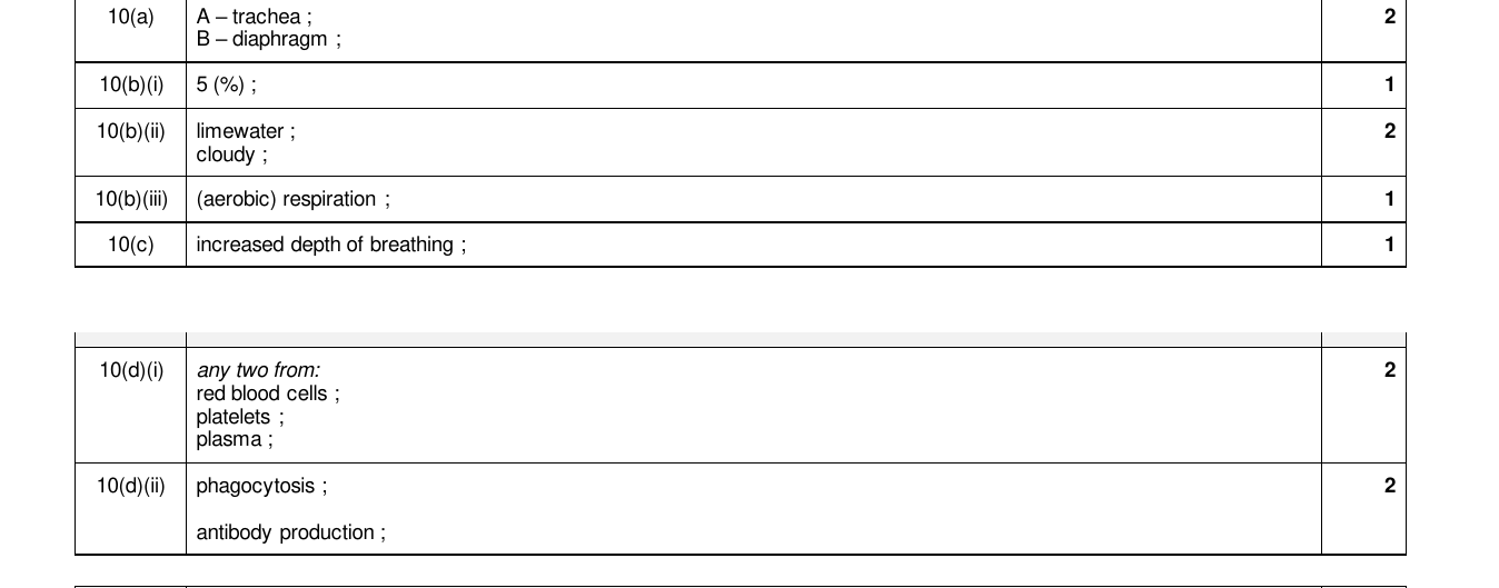 Mark scheme for IGCSE 0654 Mar 2024 Paper 32 Q10