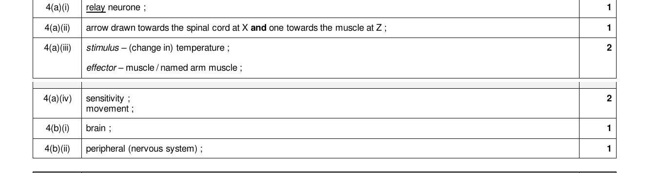 Mark scheme for IGCSE 0654 Mar 2024 Paper 32 Q4