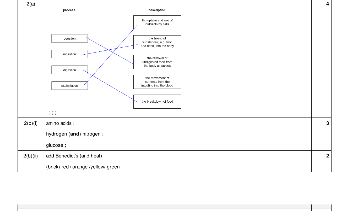 Mark scheme for IGCSE 0654 Mar 2025 Paper 32 Q2
