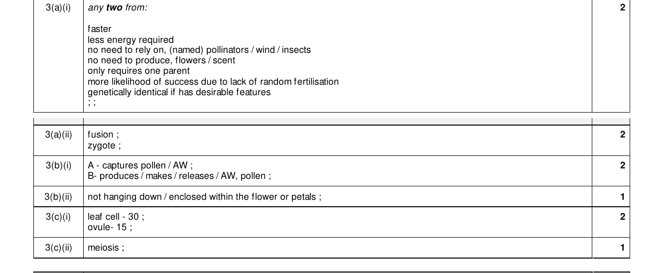 Mark scheme for IGCSE 0654 Mar 2025 Paper 42 Q3