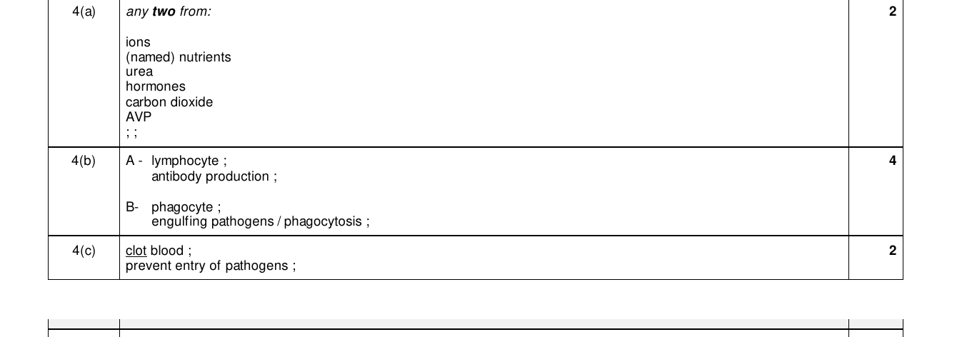 Mark scheme for IGCSE 0654 Mar 2025 Paper 42 Q4