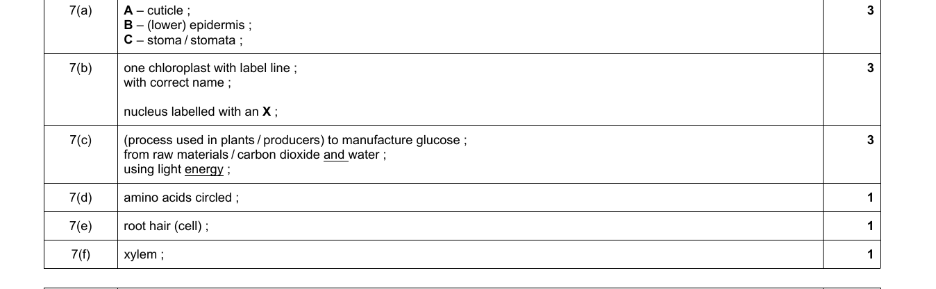 Mark scheme for IGCSE 0654 Jun 2023 Paper 31 Q7