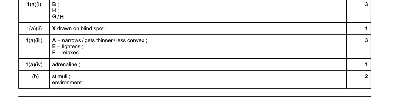 Mark scheme for IGCSE 0654 Jun 2023 Paper 42 Q1