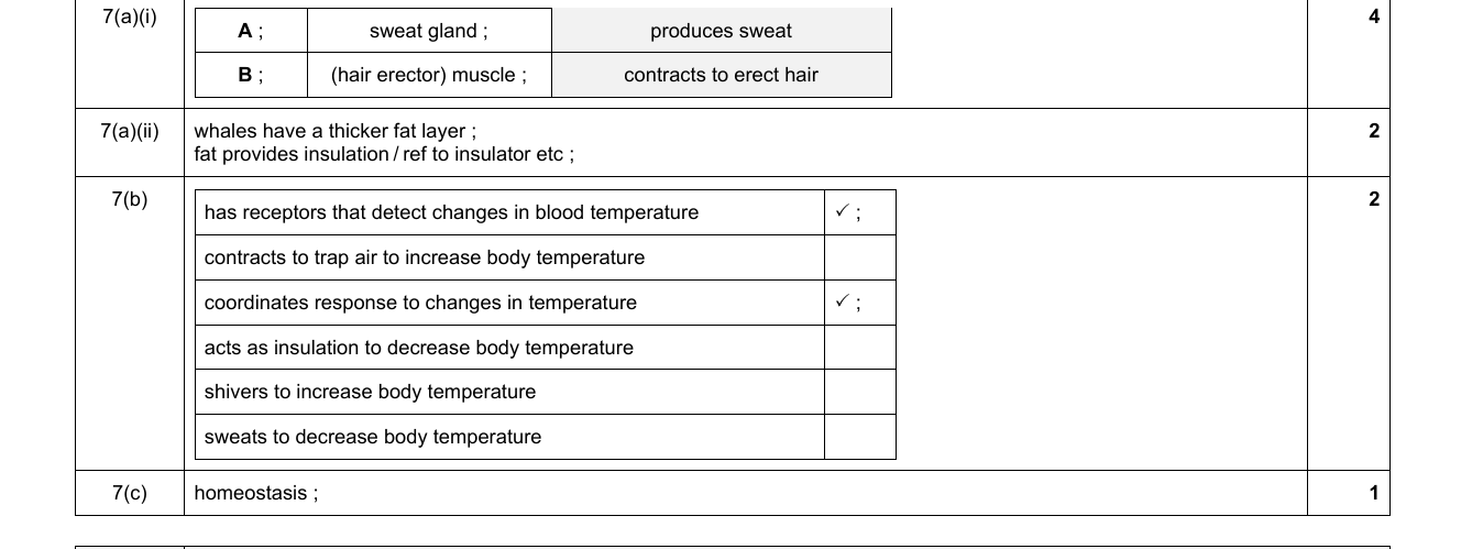 Mark scheme for IGCSE 0654 Jun 2024 Paper 31 Q7