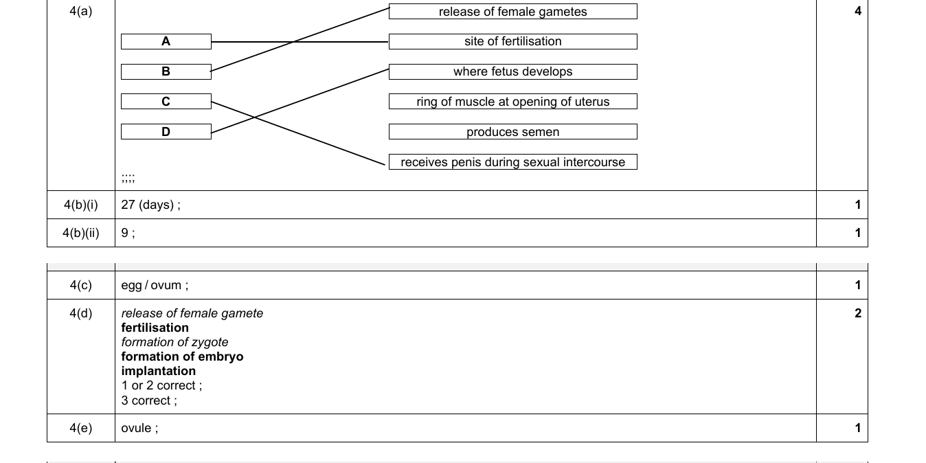 Mark scheme for IGCSE 0654 Jun 2024 Paper 32 Q4