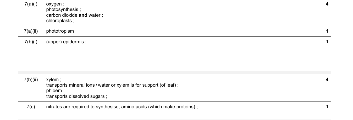 Mark scheme for IGCSE 0654 Jun 2024 Paper 32 Q7