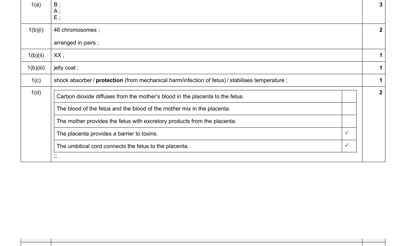 Mark scheme for IGCSE 0654 Jun 2024 Paper 41 Q1