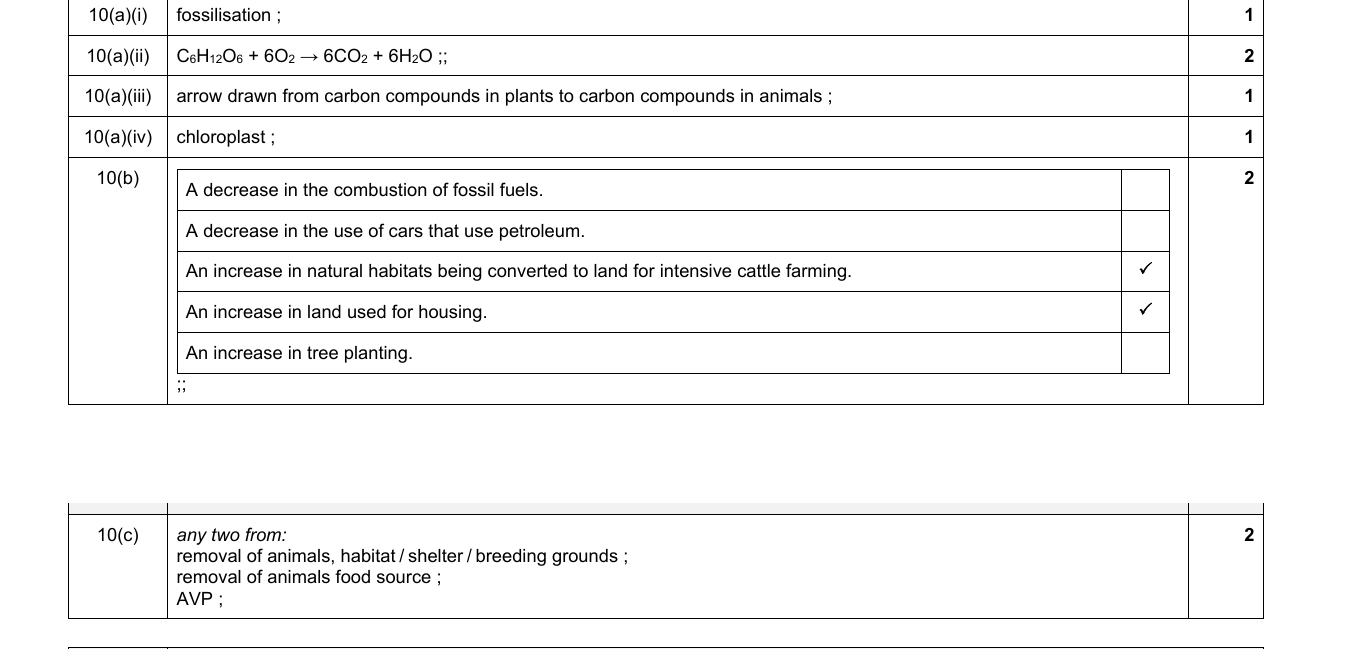 Mark scheme for IGCSE 0654 Jun 2024 Paper 41 Q10