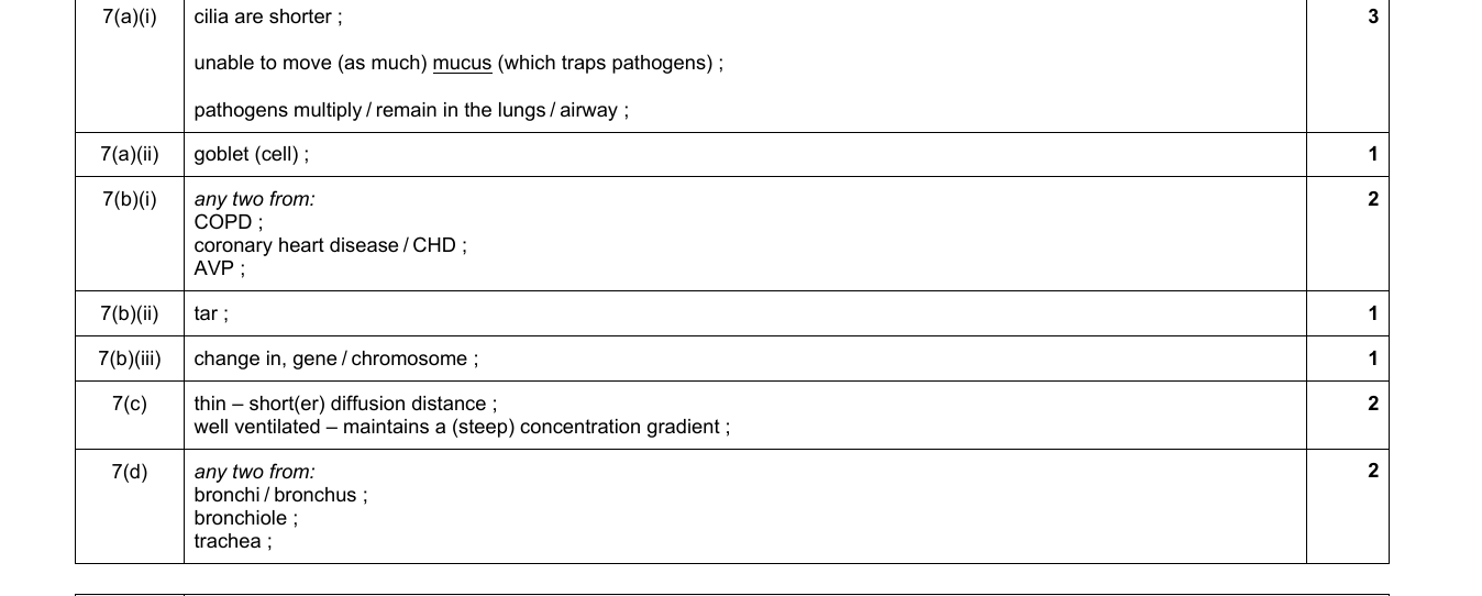 Mark scheme for IGCSE 0654 Jun 2024 Paper 41 Q7