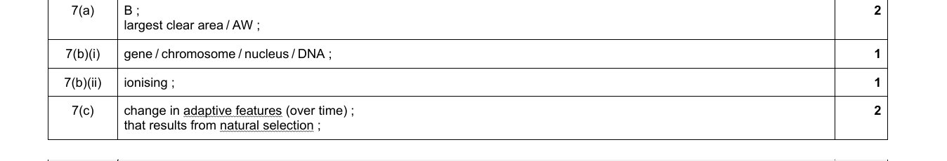 Mark scheme for IGCSE 0654 Jun 2024 Paper 42 Q7