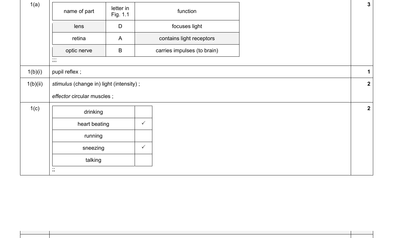 Mark scheme for IGCSE 0654 Jun 2024 Paper 43 Q1